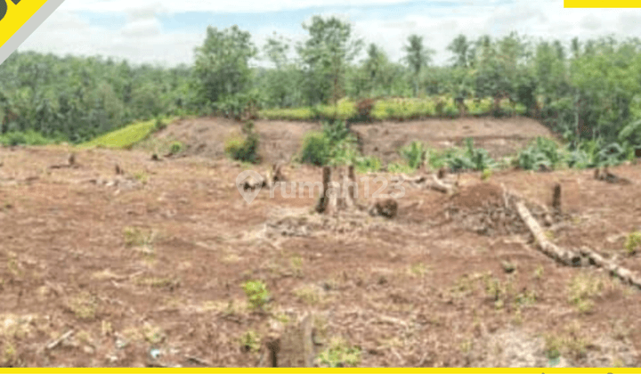 TANAH MURAH SIAP BANGUN DI JATI AGUNG LAMPUNG SELATAN 1