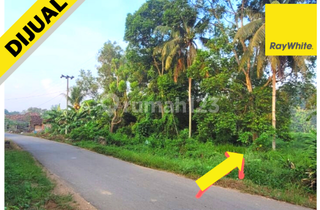 Tanah murah lokasi natar bandar lampung selatan