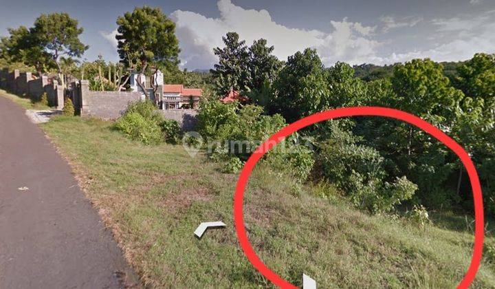 DOWN PRICES! Large land suitable for a villa in Buleleng Bali S6547 1