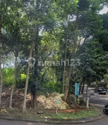 For Sale Citra Green Dago Land Hook Position