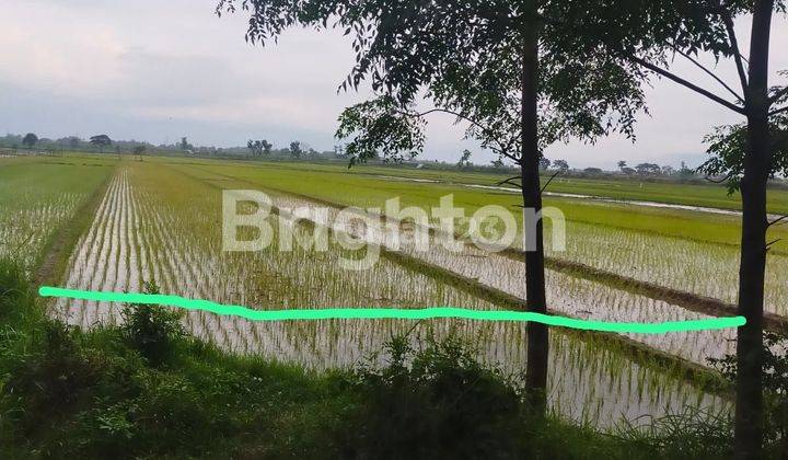 TANAH LUAS LOKASI STRATEGIS 0 JALAN PROVINSI PERAK JOMBANG 1