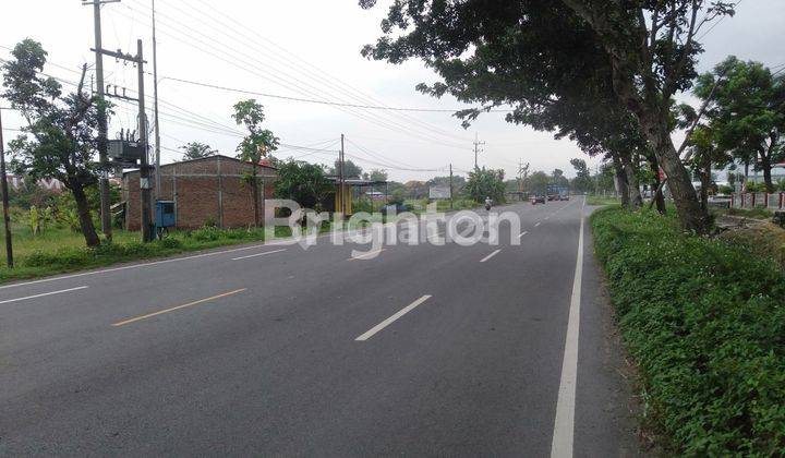 TANAH LUAS LOKASI STRATEGIS 0 JALAN PROVINSI PERAK JOMBANG 2