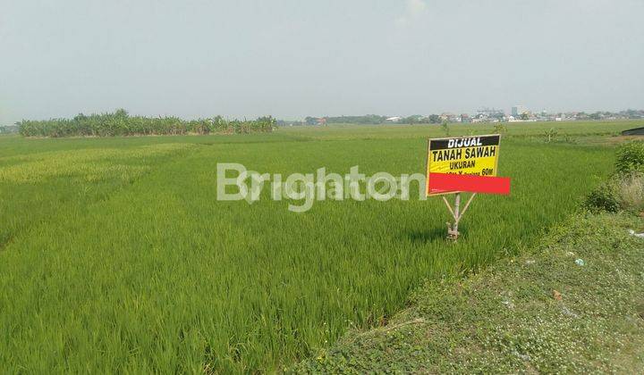 TANAH STRATEGIS SIAP BANGUN DI RING ROAD MOJOAGUNG JOMBANG 1