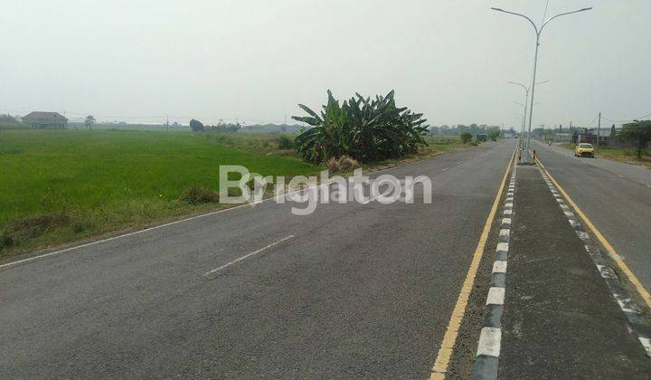 TANAH STRATEGIS SIAP BANGUN DI RING ROAD MOJOAGUNG JOMBANG 2