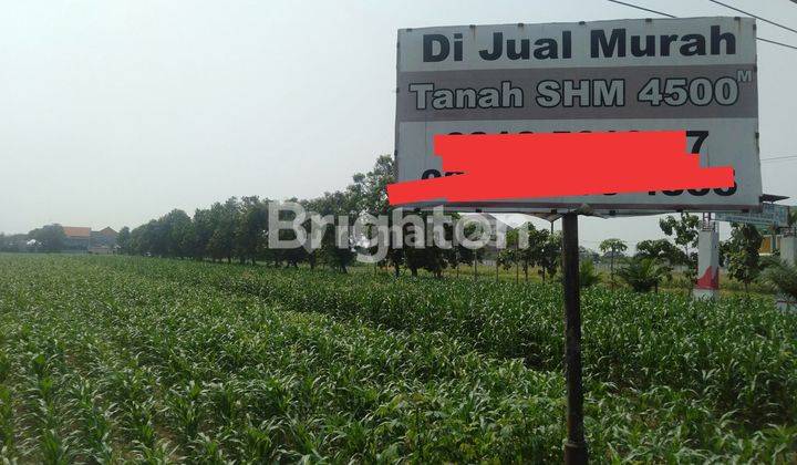 TANAH PEKARANGAN SIAP BANGUN 0 JALAN RAYA PROVINSI MOJOAGUNG 1