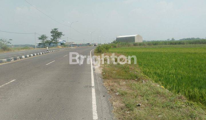 TANAH STRATEGIS DAN LUAS DI RING ROAD MOJOAGUNG JOMBANG 2