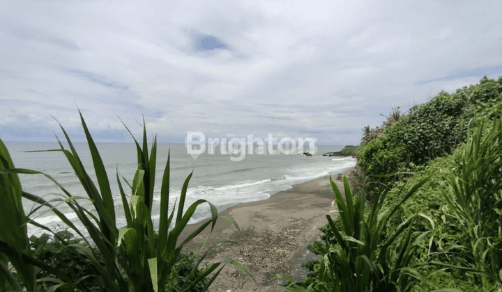 Tanah di Balian - Tabanan Bali.  _Tanah pinggir pantai surfing, 700m dari jalan utama _ 2