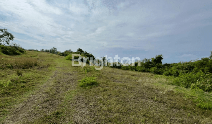 Tanah di Pinggir Tebing Pantai Balangan, Bali. 1