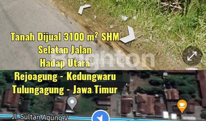 TANAH DEKAT SPBU REJOAGUNG TULUNGAGUNG JAWA TIMUR 1