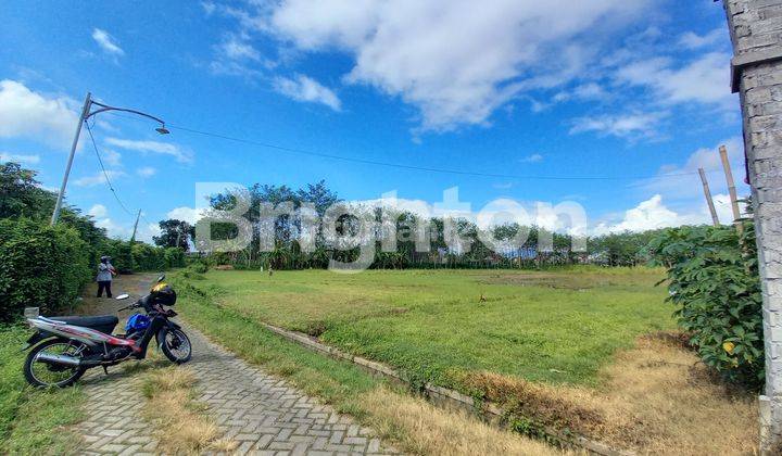 TANAH LEBAR DEPAN 43M TULUNGAGUNG GEDANGSEWU 1