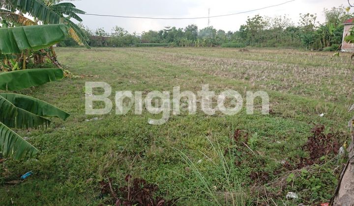 TANAH LUAS 4 SHM NGANJUK TURUN HARGA