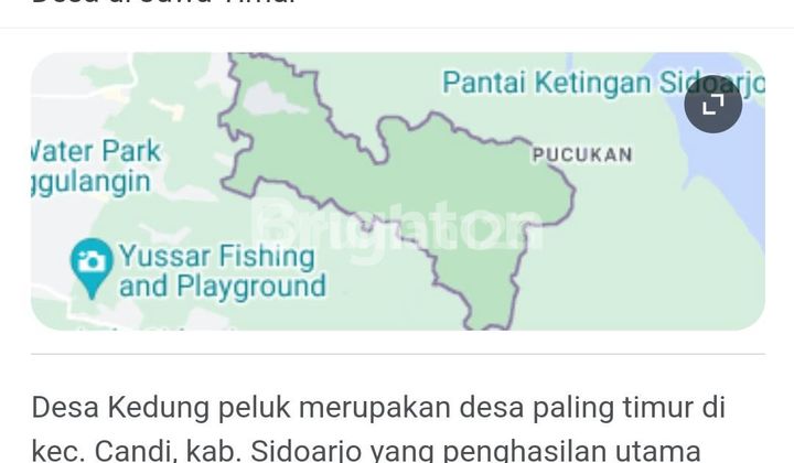 CHEAP FISHPOND CHEAP FISHPOND