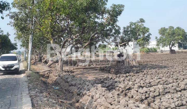 tanah di wilayah strategis PAKAL BENOWO