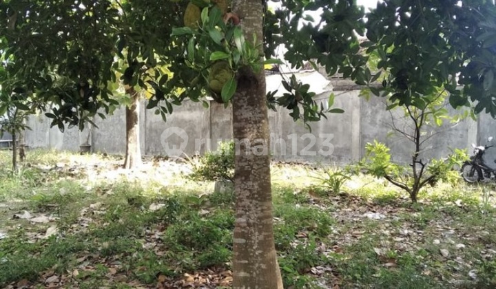 Kavling Komersil Siap Bisnis Kostan / Carwash Yogyakarta