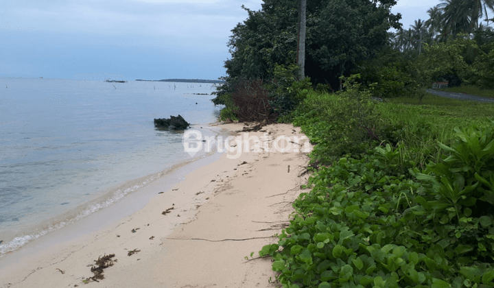 CEPAT TANAH KARIMUNJAWA VIEW BAGUS PANTAI SIAP BANGUN VIILA RESORT 1