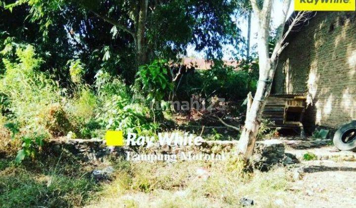 Tanah murah dipinggir jalan Ridwan Rais Kedamaian Bandarlampung 2