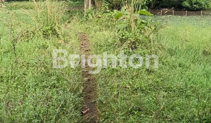 TANAH LOKASI STRATEGIS COCOK UNTUK GUDANG ATAU GUDANG EKSPEDISI HARGA MURAH