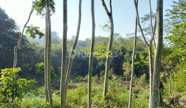 TANAH LOKASI SANGAT STARTEGIS DI NOL JALAN DEKAT WISATA 2