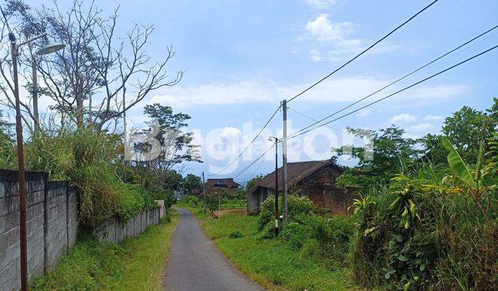 Tanah kebun luas cocok untuk dibangun villa 2