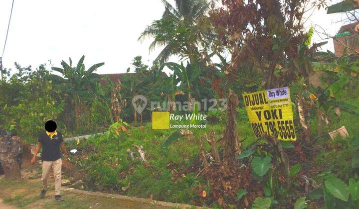 TANAH MURAH SIAP BANGUN DI BUMI MANTI KOTA BANDAR LAMPUNG 2