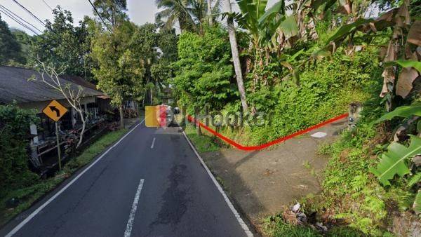 Land For Sale at Affordable Prices in Quiet Area Sebatu Tegallalang Ubud 1