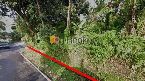 Land For Sale at Affordable Prices in Quiet Area Sebatu Tegallalang Ubud 2