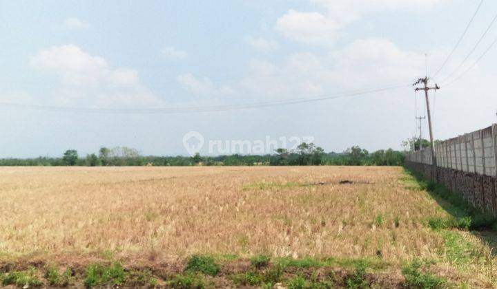 tanah kosong Lokasi samping Mesjid Aljabar & Hotel Horison Kertajati 1