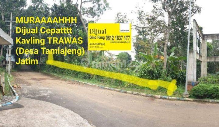 Kavling Trawas (jatim) 1