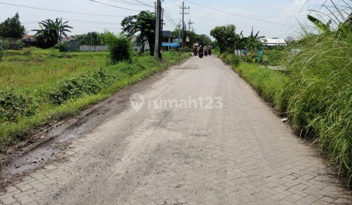 Dijual Murah Tanah Masangan Wetan Sidoarjo(jatim) 2