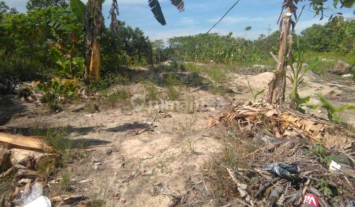 Tanah Murah Dengan Ukuran + 100 Meter X 460 Meter 4,6 Ha Dengan Harga Rp. 95 Ribu M2 1