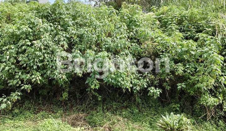 Murah! Kavling SHM di Cluster Mawar Dago Pakar Resort