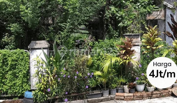 Dijual Tanah Mars Jangli 1