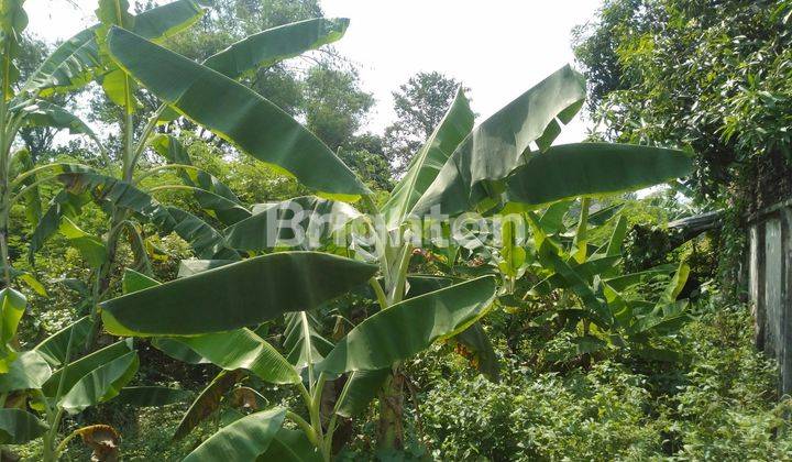 TANAH PEKARANGAN SIAP BANGUN DI PETERONGAN JOMBANG 2