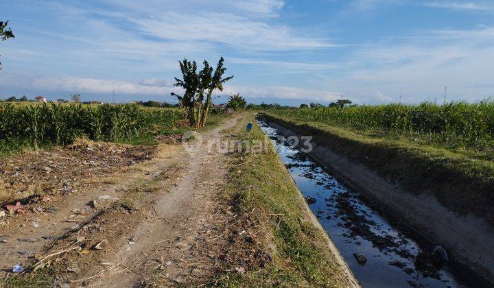 Di  Cepat Lahan Bagus Di Pabedilan Wetan 2