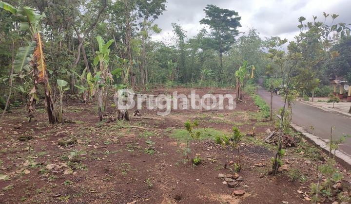 TANAH PEKARANGAN DI BEJIHARJO WONOSARI TANAH PEKARANGAN DI BEJIHARJO WONOSARI