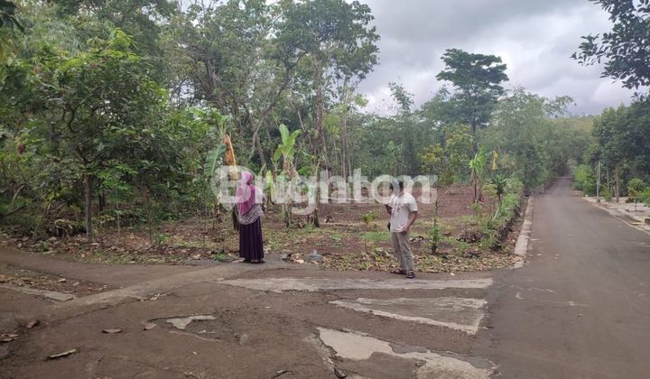 TANAH PEKARANGAN DI BEJIHARJO WONOSARI TANAH PEKARANGAN DI BEJIHARJO WONOSARI