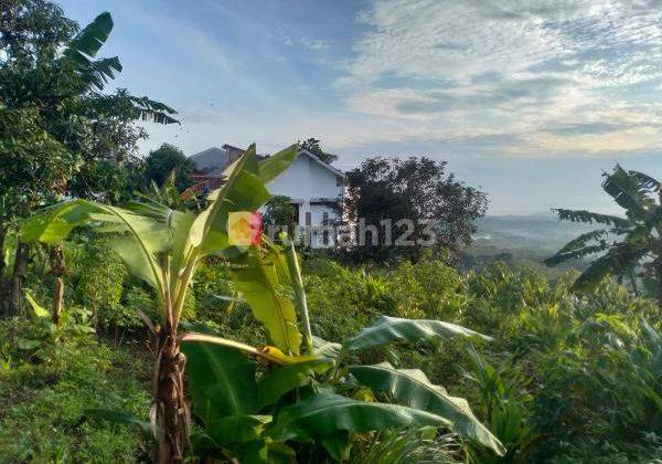 Kavling jalan Bulusan dekat UNDIP 1