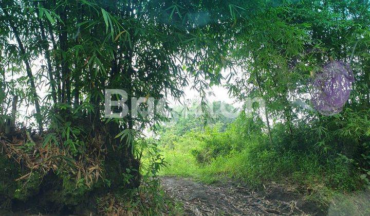 LAHAN KOSONG PENUH PASIR DI LUMAJANG 1