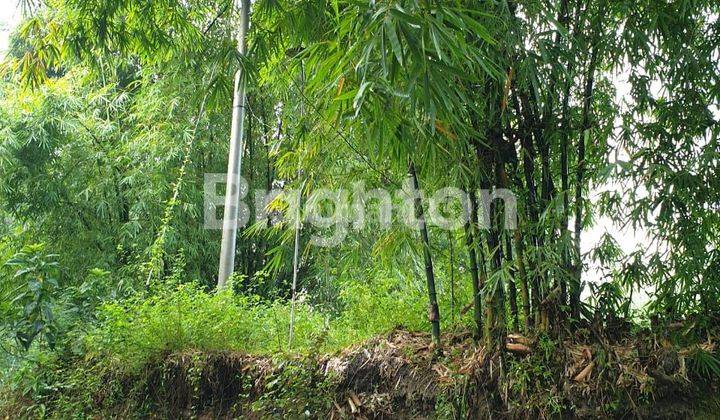 LAHAN KOSONG PENUH PASIR DI LUMAJANG 2