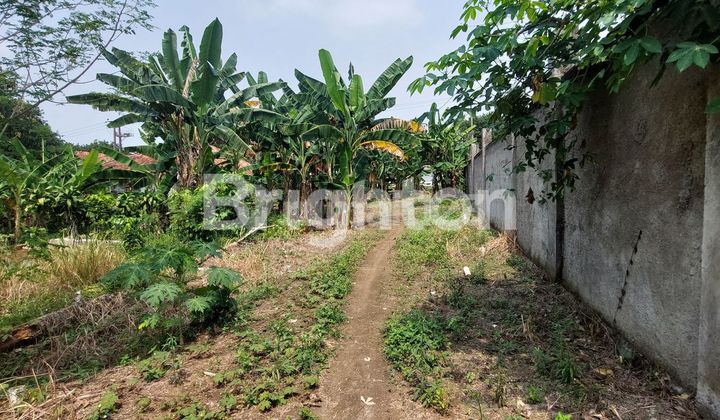 BOJONG KLAPANUNGGAL BOGOR BOJONG KLAPANUNGGAL BOGOR