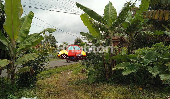 TANAH LUAS DAN MURAH 2