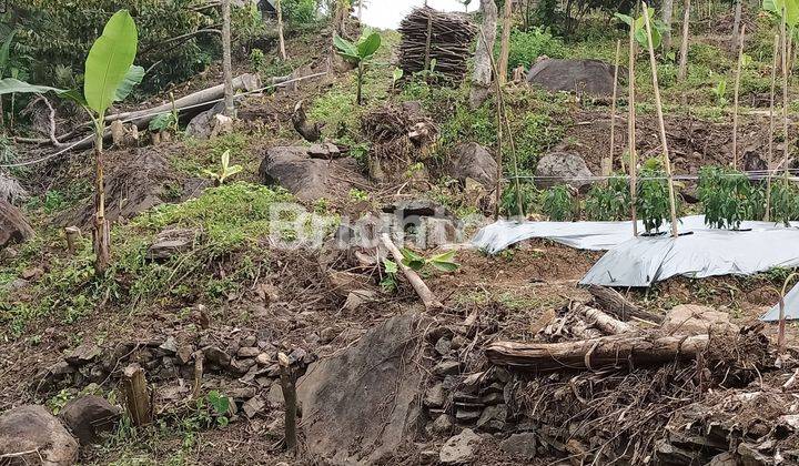 TANAH YG BISA DIGUNAKAN UNTUK TAMBANG BATU ALAM 1