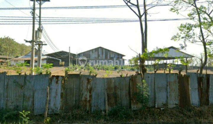 Dijual  Tanah di Jl. Tayu Jepara, Tayu 2