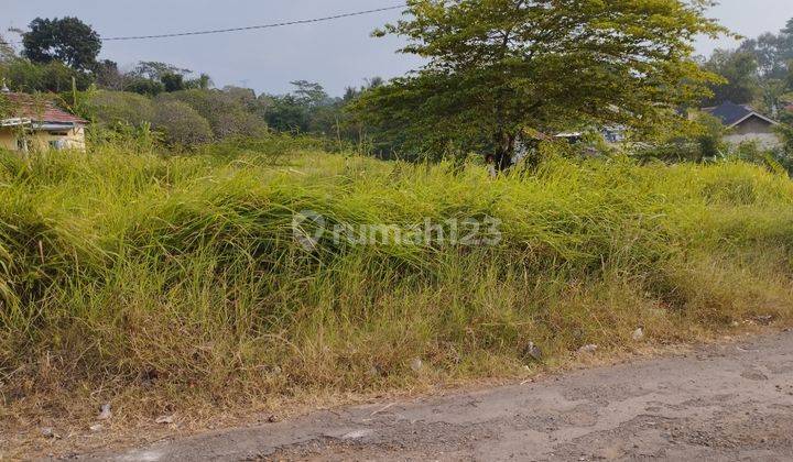 Tanah Bagus Di Halimpu Beber 1