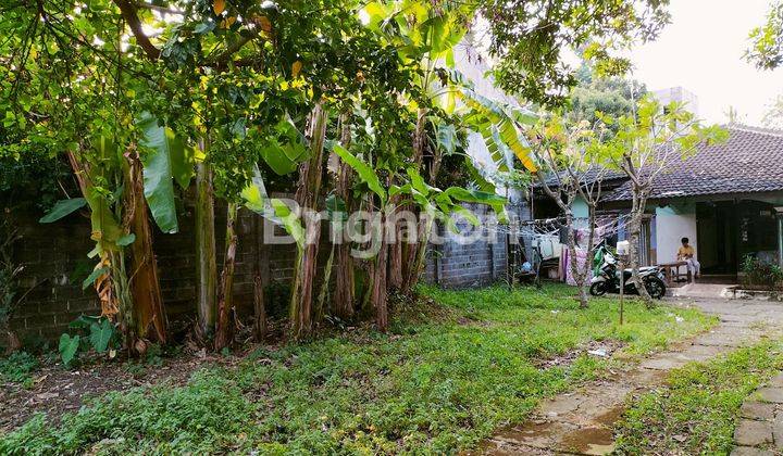 Rumah Hitung Tanah. Lahan Luas Pontensial Besar.