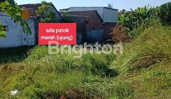Tanah kavling (masuk gang) strategis dekat kota & perumahanSIDODADI 1