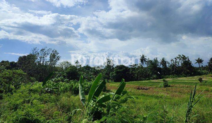 TANAH DI DEKAT PANTAI CEMAGI-MENGWI, BADUNG BALI 1