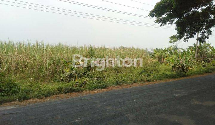 TANAH SAWAH ZONA INDUSTRI DI BARENG MOJOWARNO 1