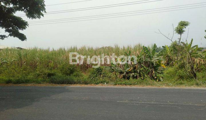 TANAH SAWAH ZONA INDUSTRI DI BARENG MOJOWARNO 2