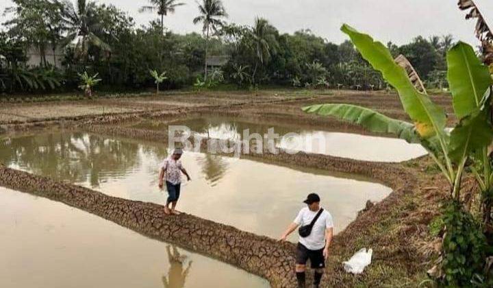 TANAH STRATEGIS COCOK UNTUK BISNIS PERIKANAN 1